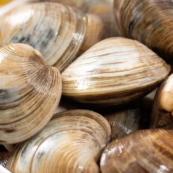 阿九海鲜-美贝500g