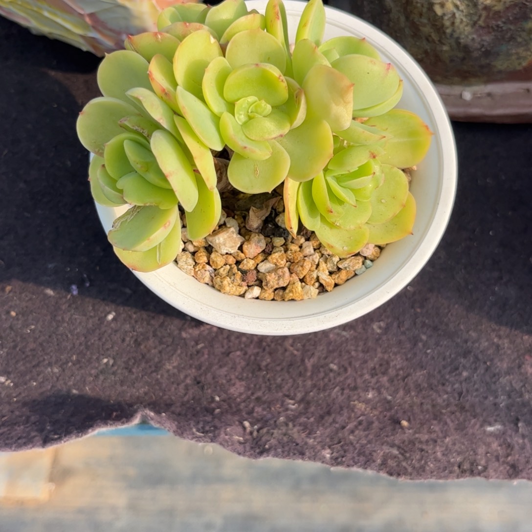 ****一111111111111111111