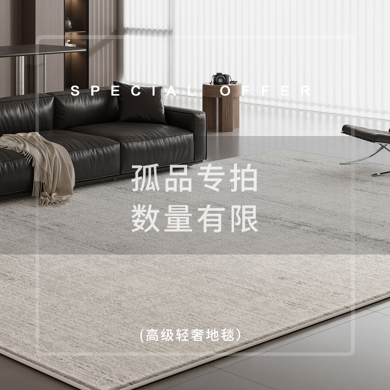 改价编号201-250直播间爆品大促高级感地毯高密度用料客厅卧室