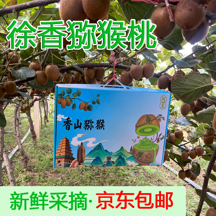京东包邮陕西周至徐香猕猴桃礼盒正宗秦岭高端新鲜水果奇异果绿心