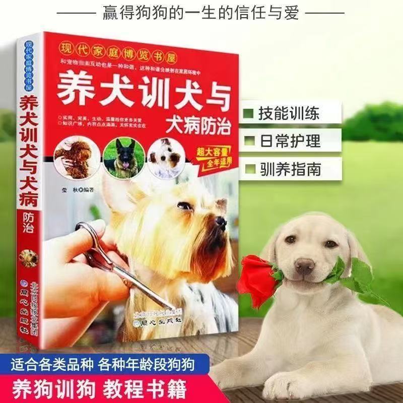 《爆》如何挑选狗狗和饲养技术