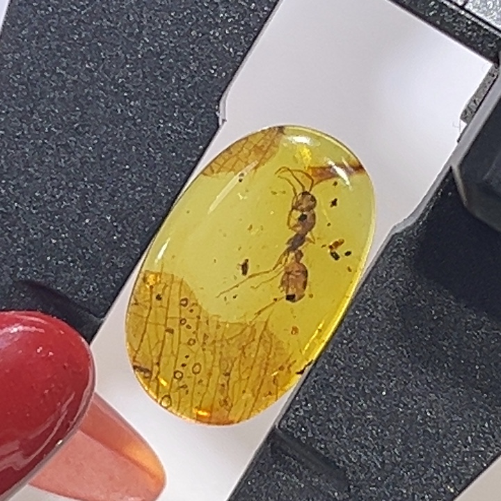 琥珀未镶嵌裸石缅甸琥珀