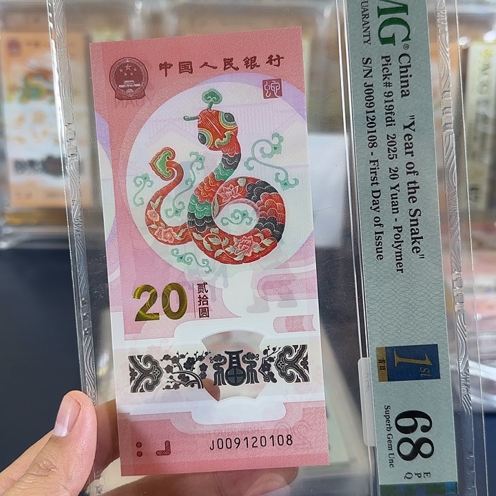 塑料蛇钞朦胧首日