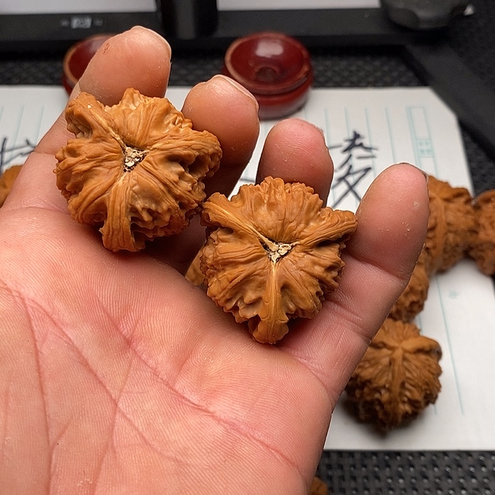 笑***生核桃手串/手链白狮子2