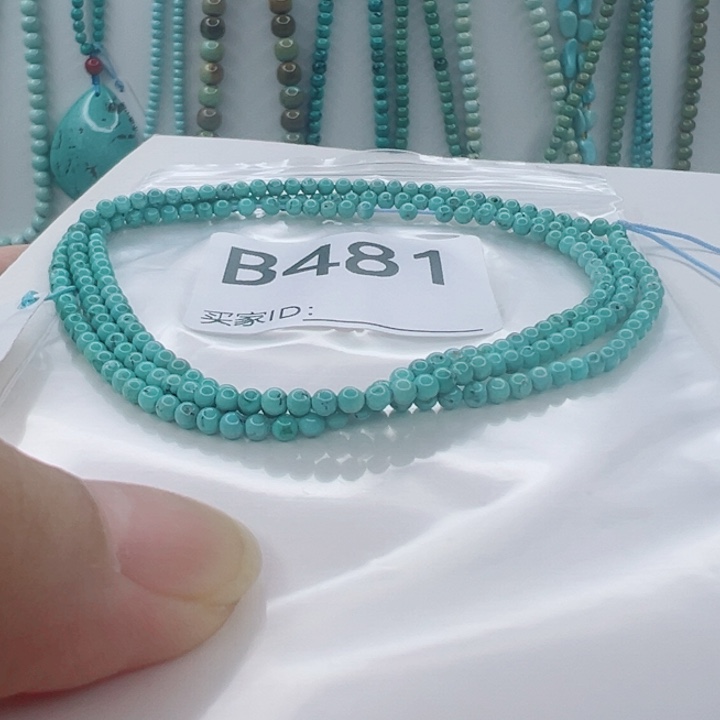 绿松石未镶嵌颈饰