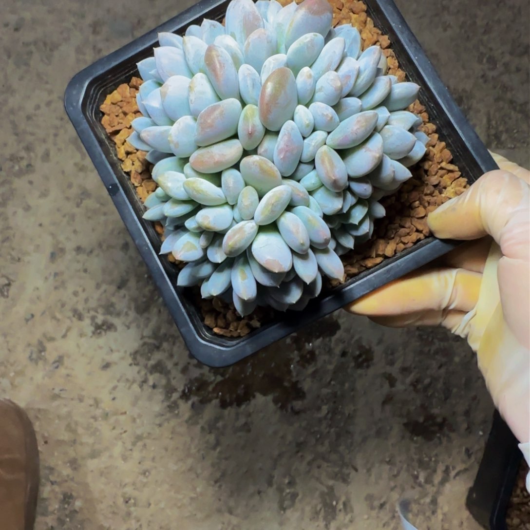 z z z z z z z z z 67