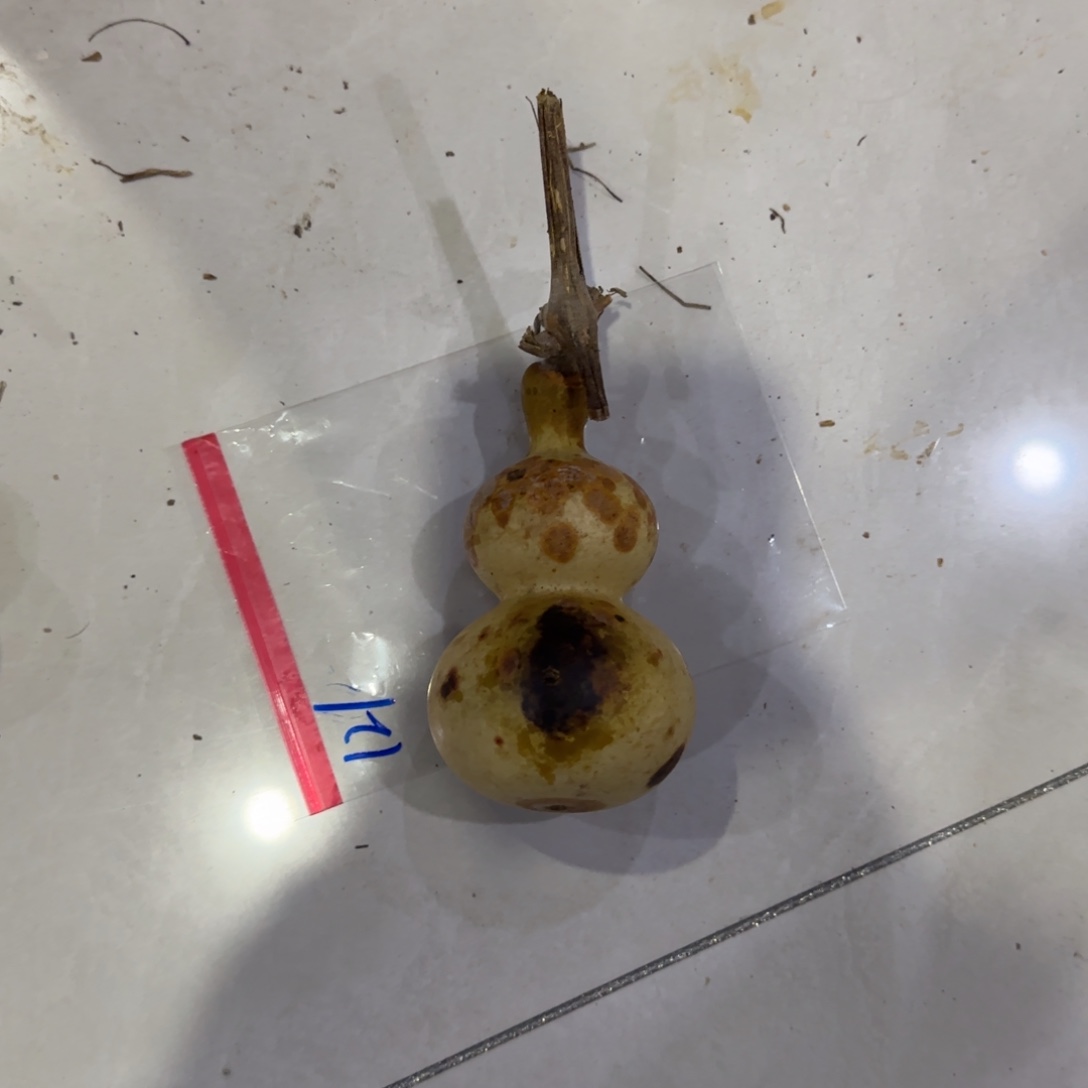 稻***人葫芦来乐乐咯乐乐咯来咯哦