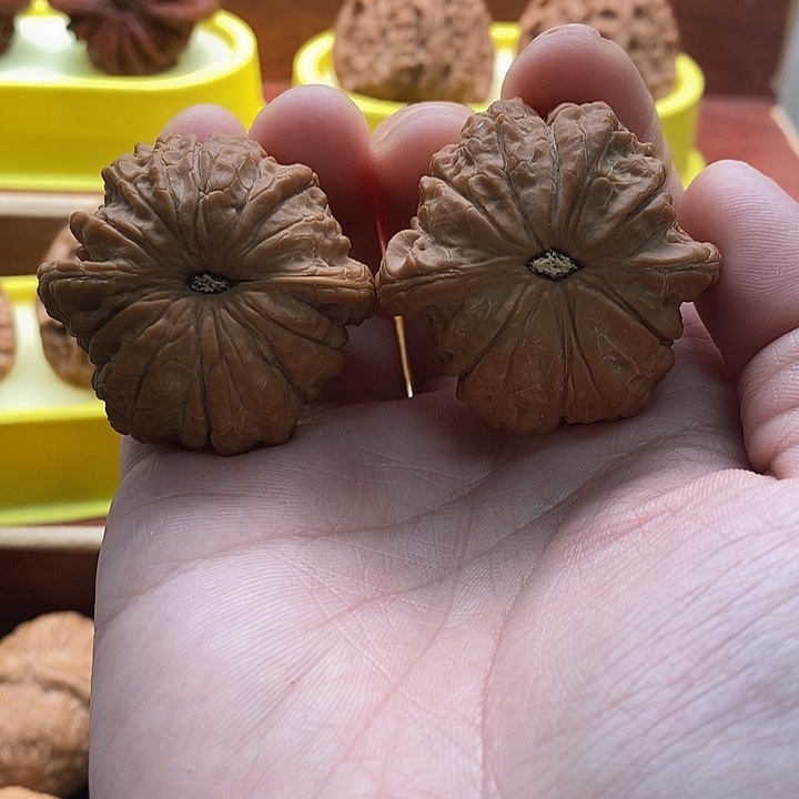 文玩核桃吊坠血麒麟