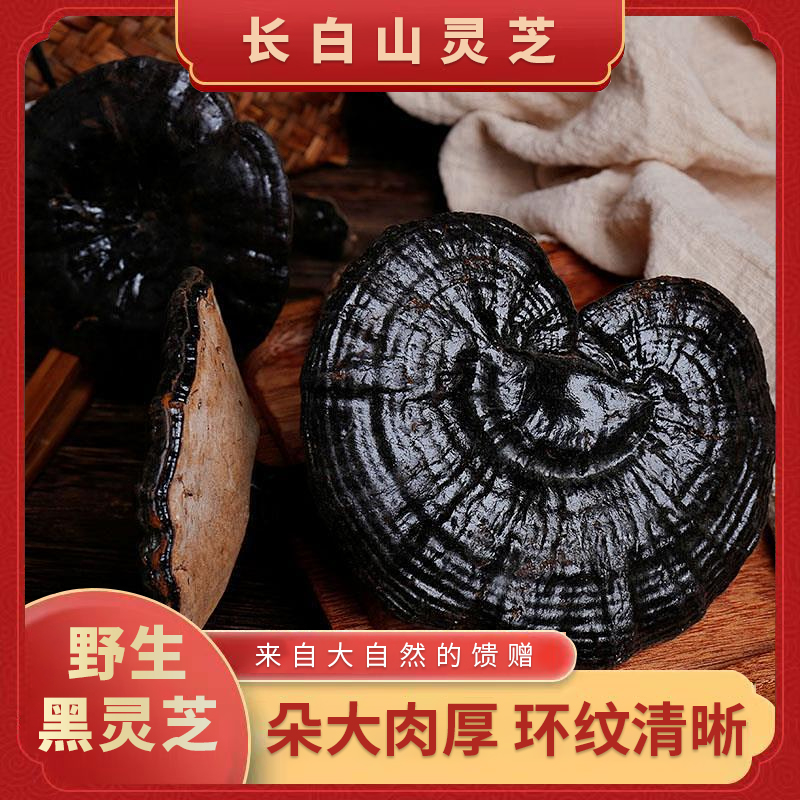 长白山黑灵芝一枚【以实际收到货为准】