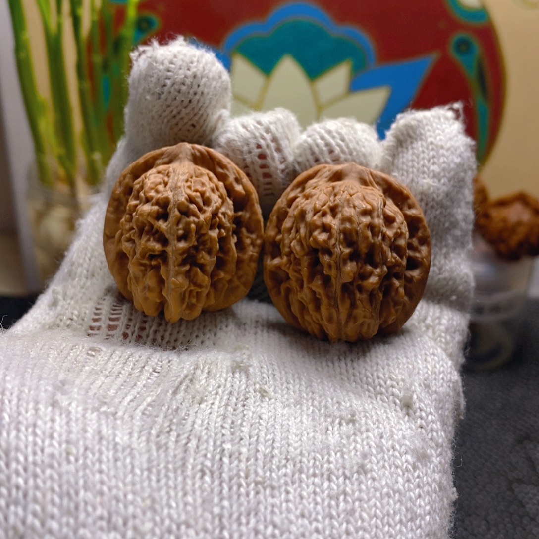 核桃边34肚35熊儿寨一代楼