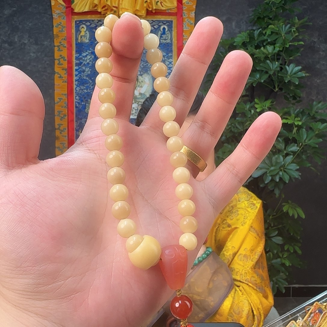 吊坠菩提根/象牙果菩提根