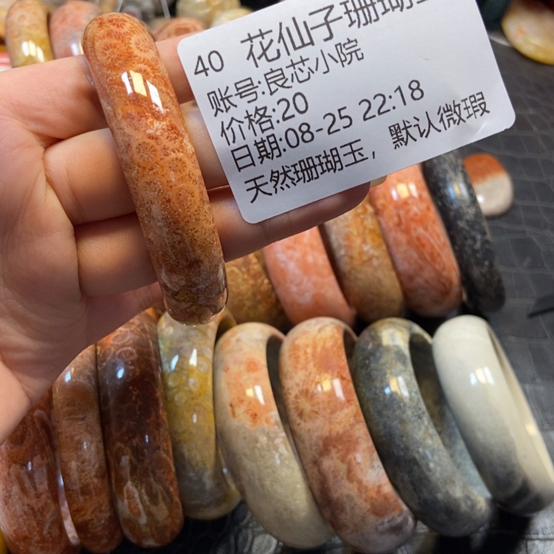 良***院未镶嵌硅化珊瑚（珊瑚玉）珠宝半成品40
