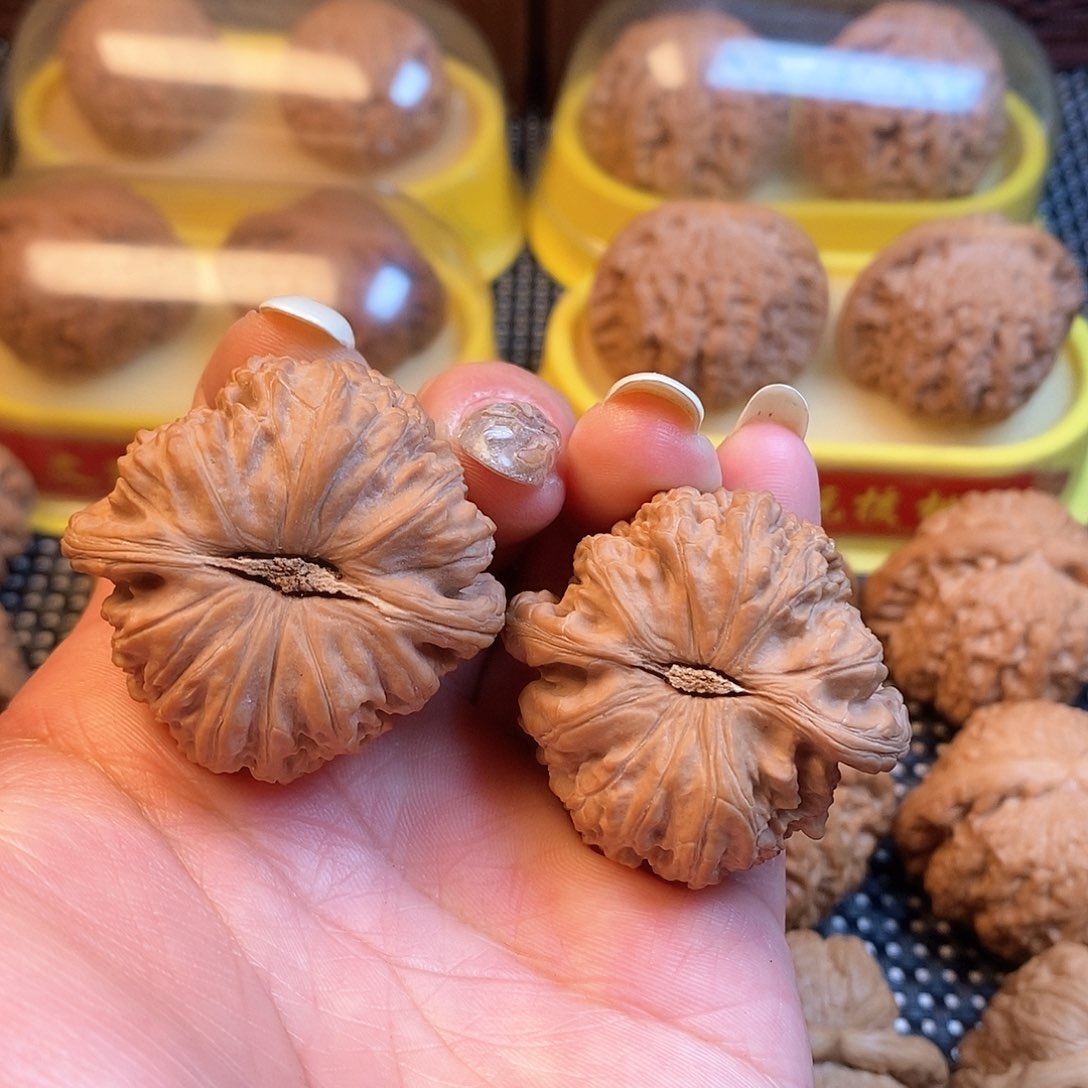 文玩核桃吊坠40尺白狮子全品