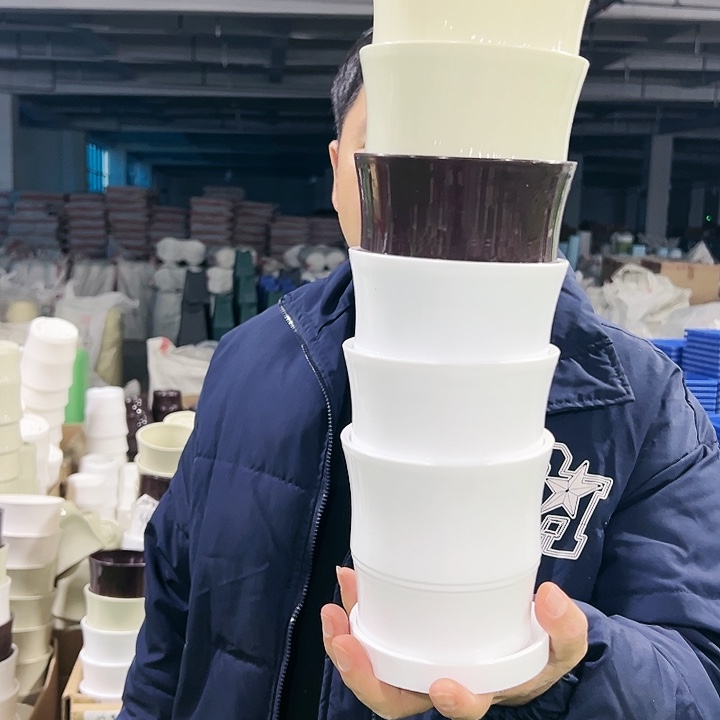 特价竹节口12高12白色6个带托