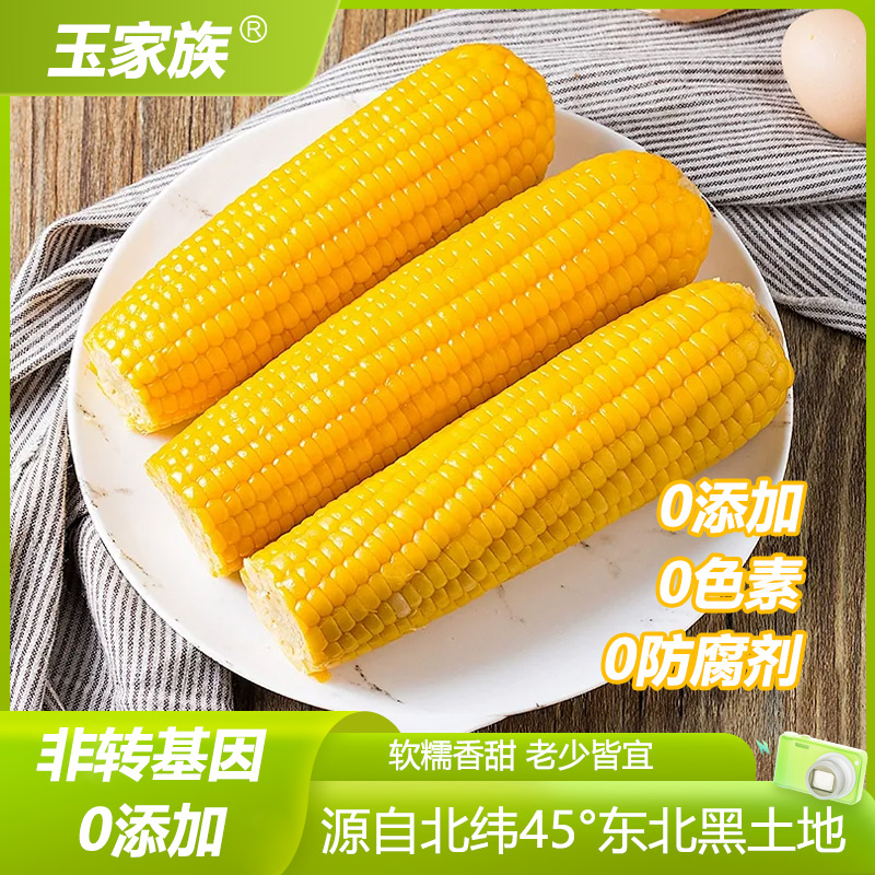 2025头茬东北黄糯玉米十根试吃两根玉米十支装五斤装