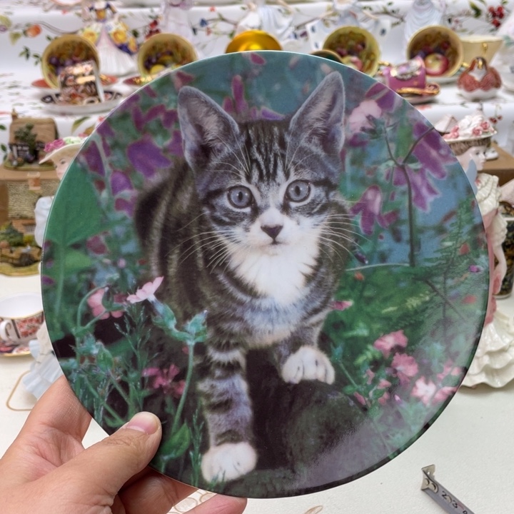 盘维多利亚欧洲中古