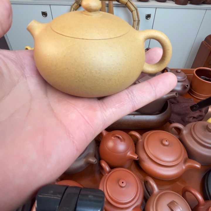 已***去惺惺相惜惺惺相惜行