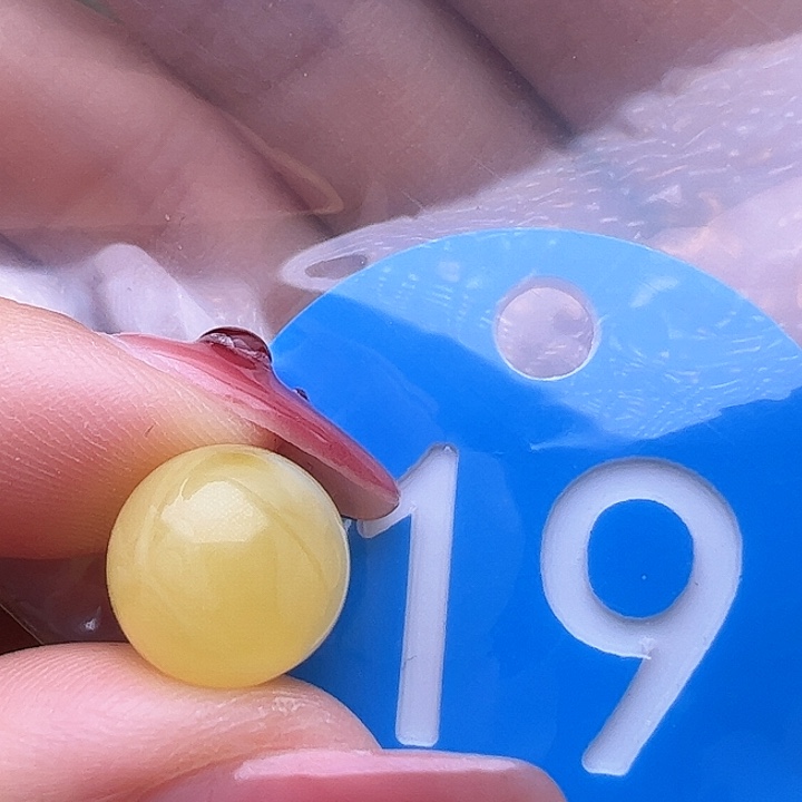 蜜蜡裸石未镶嵌10.7mm 鸡油黄 圆珠