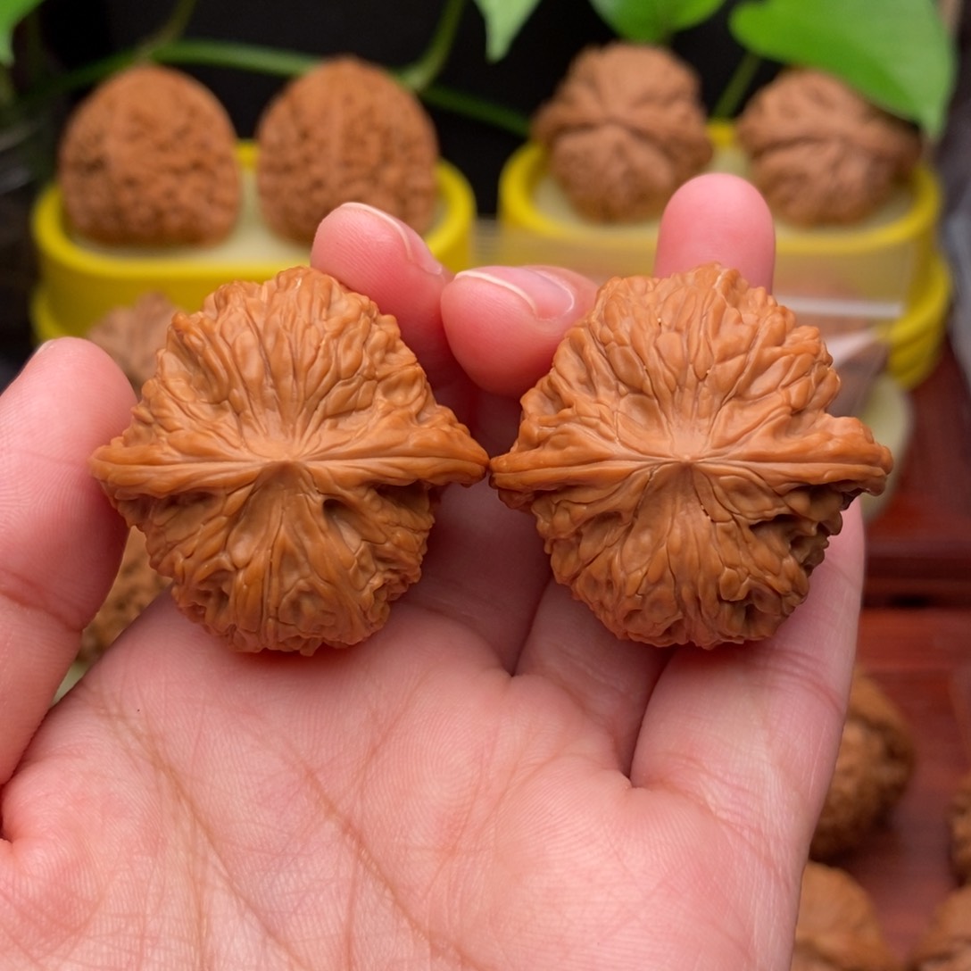 把件文玩核桃36“野生”红皮正磨