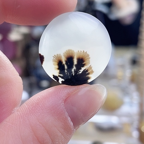 玛瑙/玉髓珠宝奇石未镶嵌