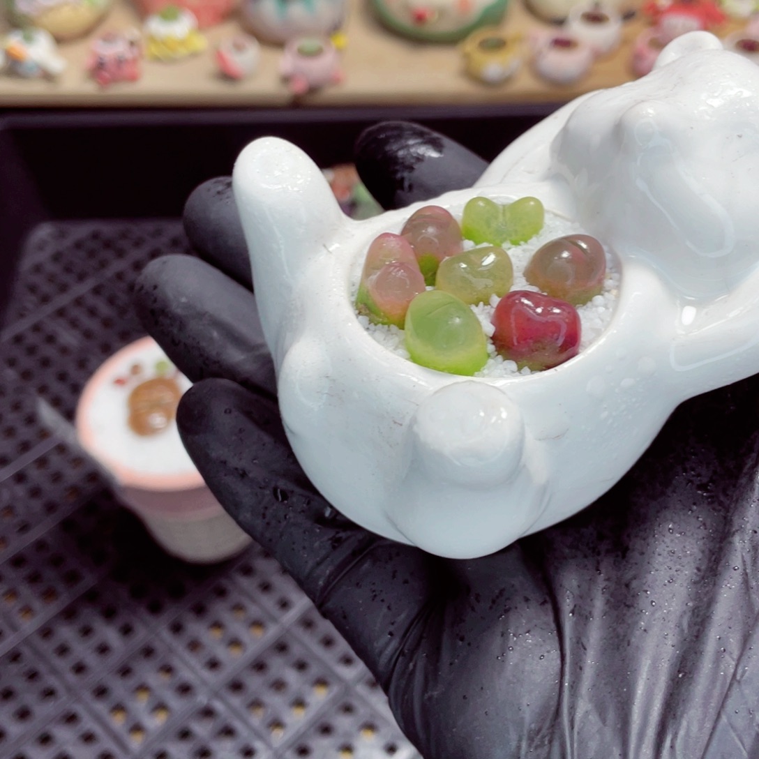 夜间零下地区拍保温箱w3002