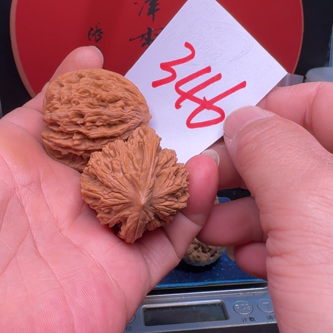 文玩核桃把件若***见40虎头