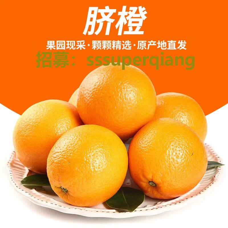 15【包邮次日达】新鲜脐橙4.6-5斤，中大果70-85mm多汁农家现摘