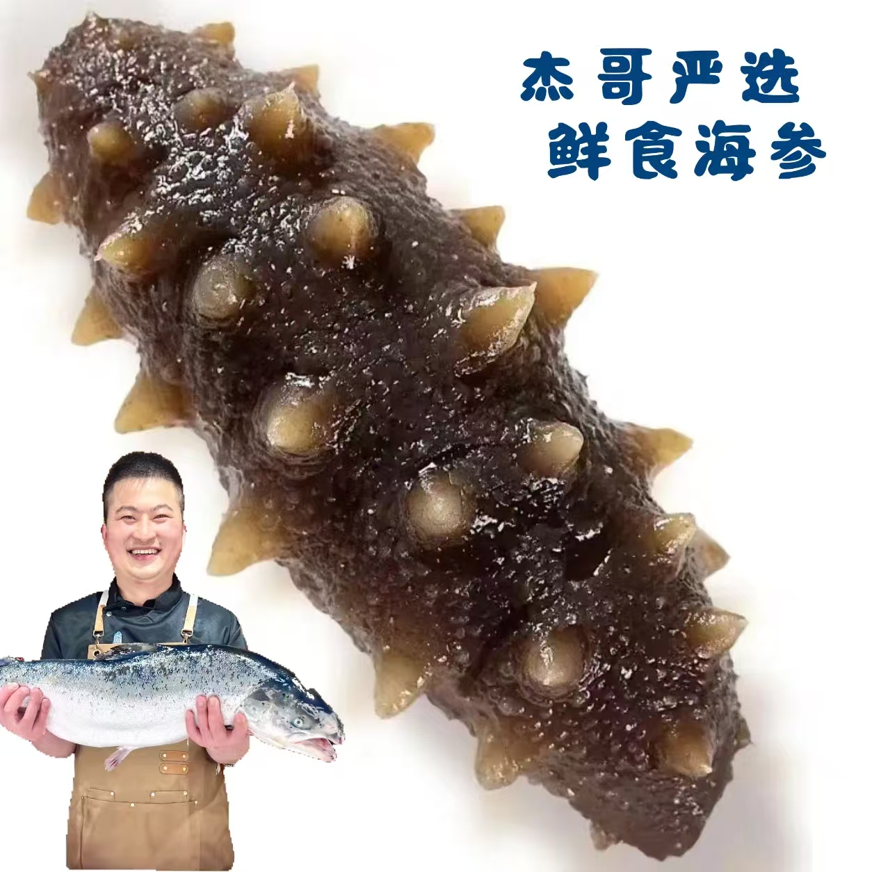 【杰哥严选】鲜食海参滋补营养肉质鲜美都是独立