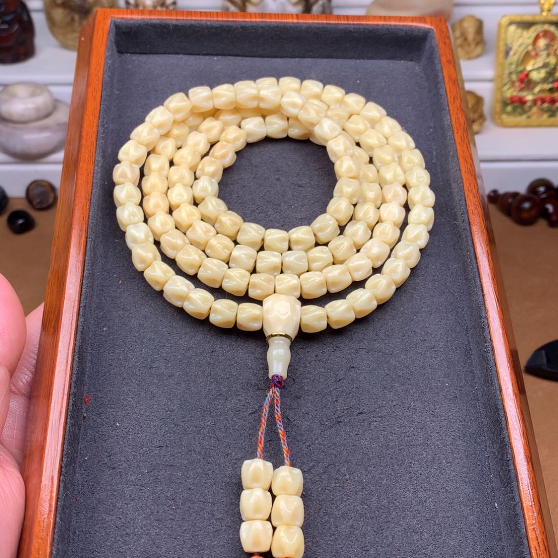 驼骨其他天天都在盘  8百香