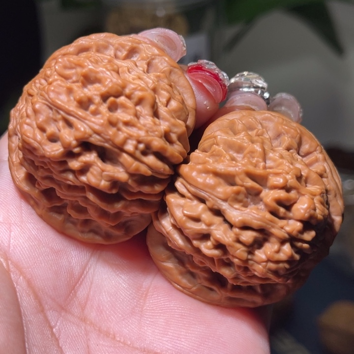 桃核把件                  42