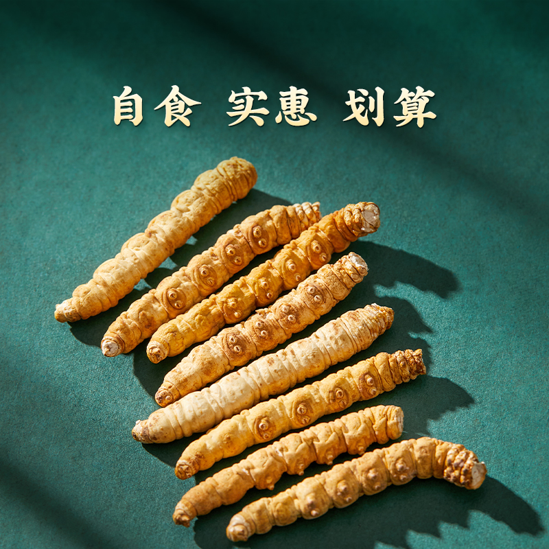 【格桑虫草专属】正品冬虫夏草50克大断草高海拔虫草食用