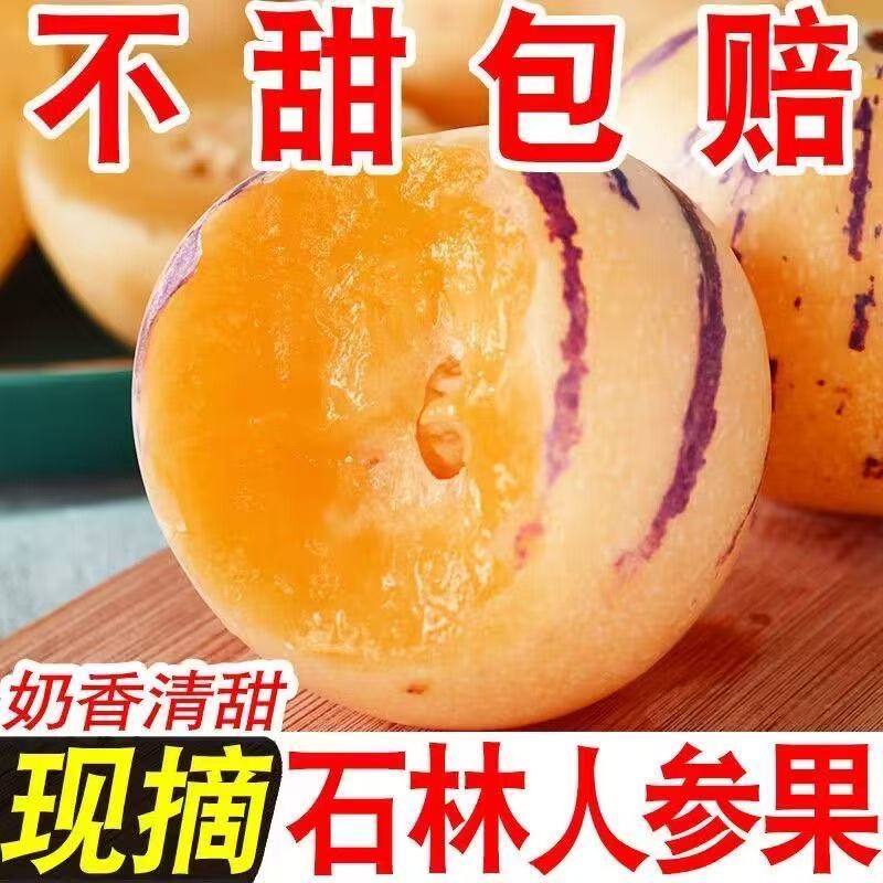 云南石林人参果树上熟黄肉果新鲜纯甜多汁当季水果
