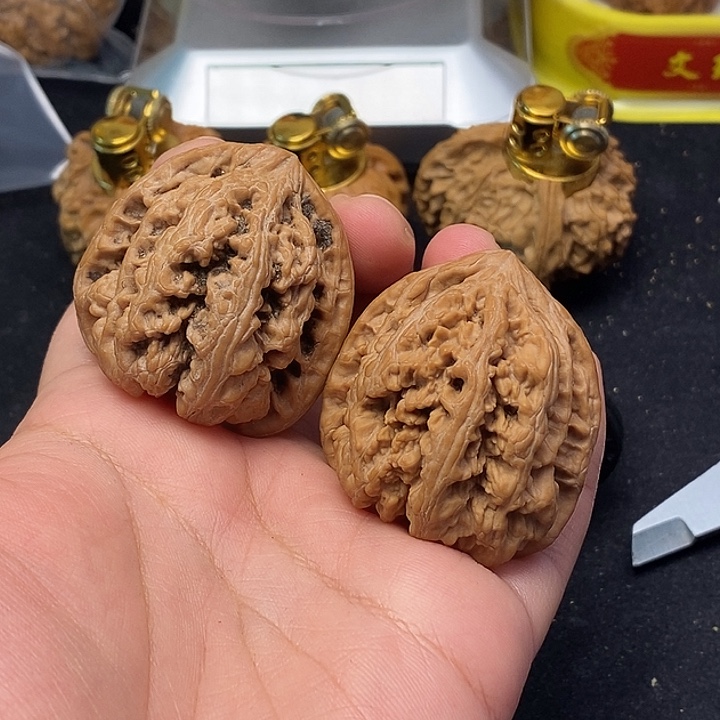龙脊菩提吊坠大粗筋