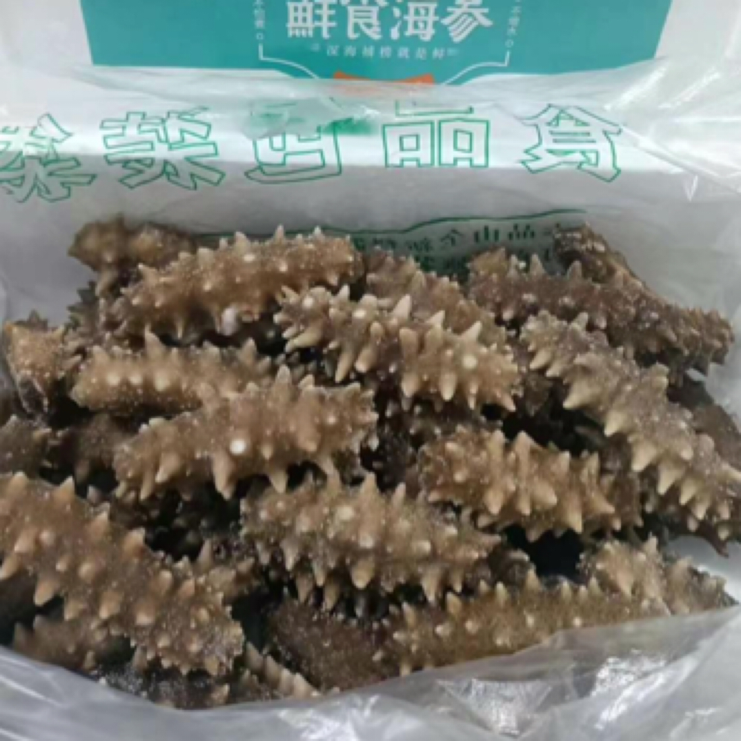 296两斤半即食海参