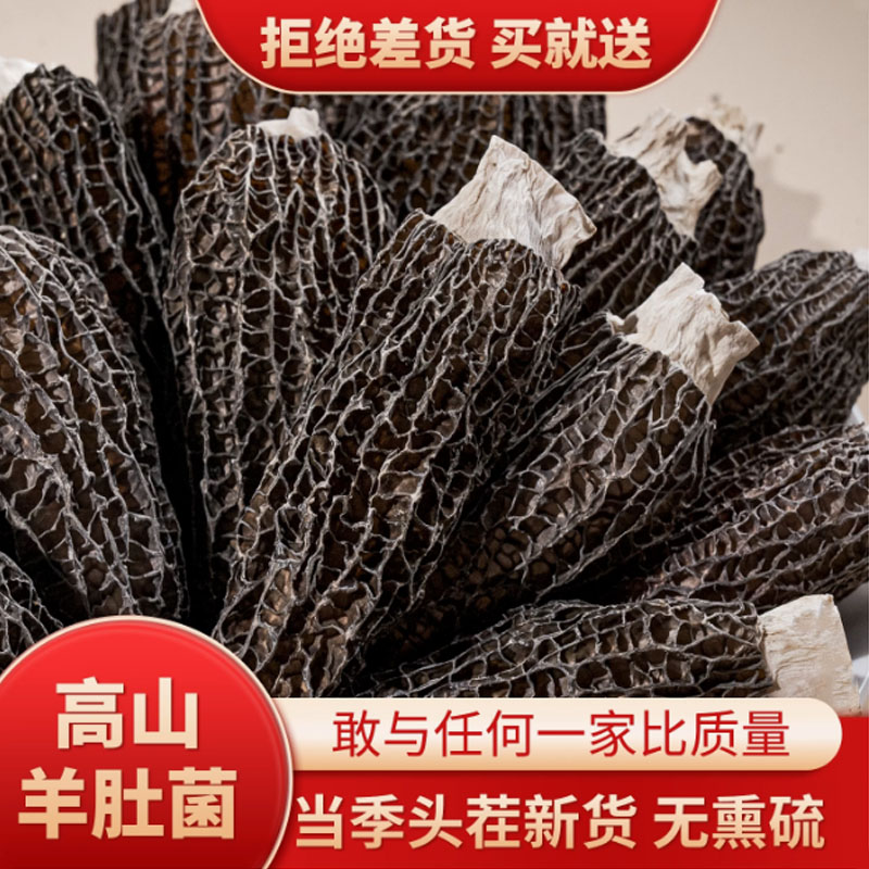 羊肚菌干货非特级野生新鲜菌菇纯羊肚菇菌子煲汤包食材正常羊肚菌