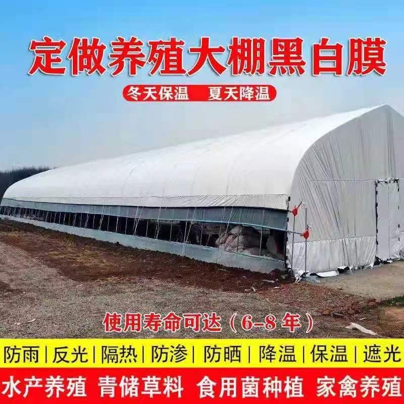 加厚黑白膜防晒遮阳隔热降温养鸡养鸭养殖大棚膜食用菌大棚黑白膜