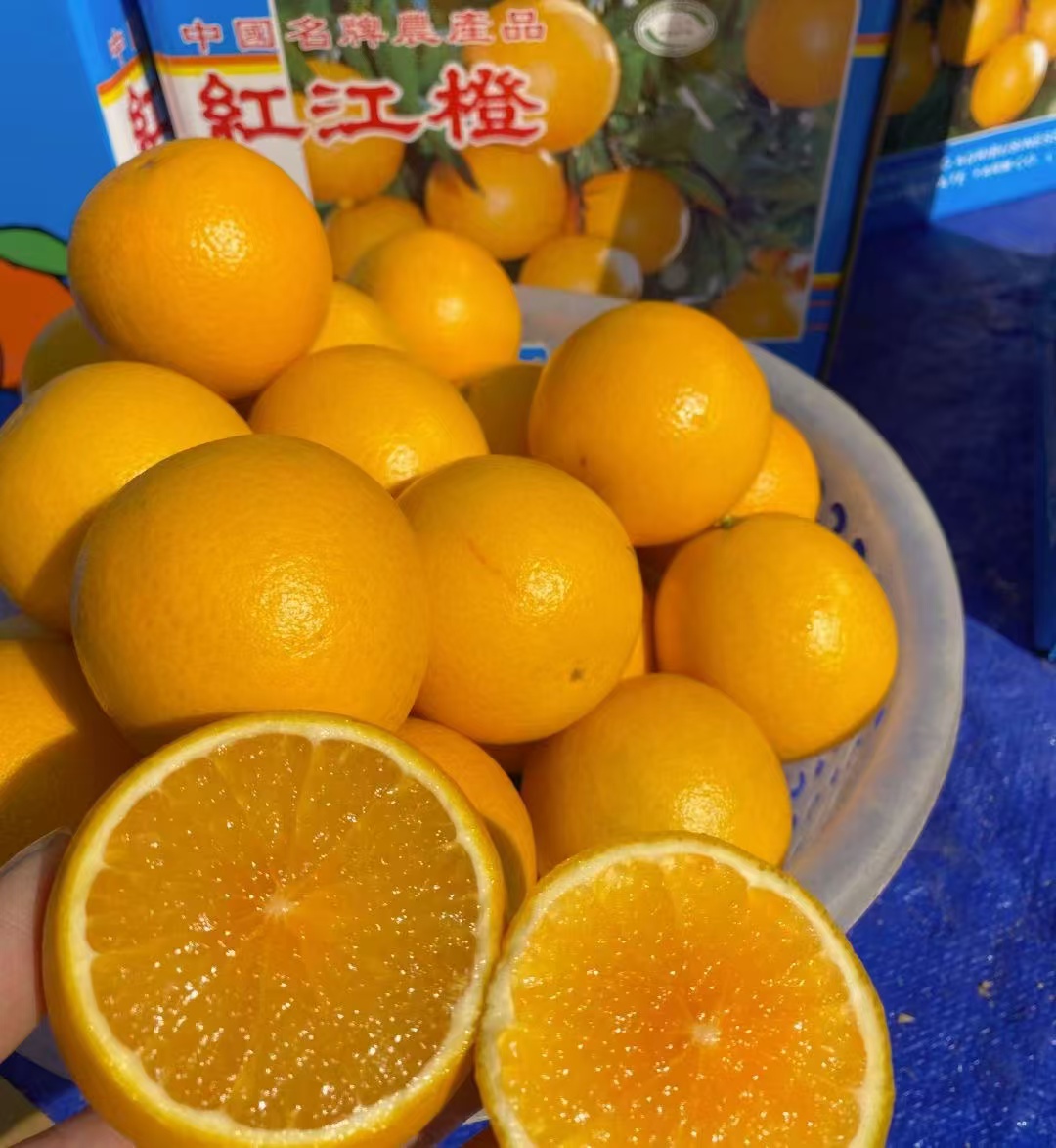19队24妹果园果冻红橙正宗红橘头红江橙皮橙子薄汁多甜中带酸水果