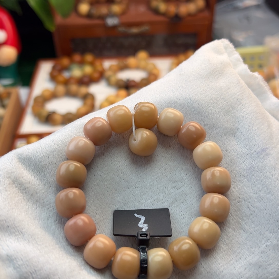 菩提根/象牙果手串卡13桶珠全品3