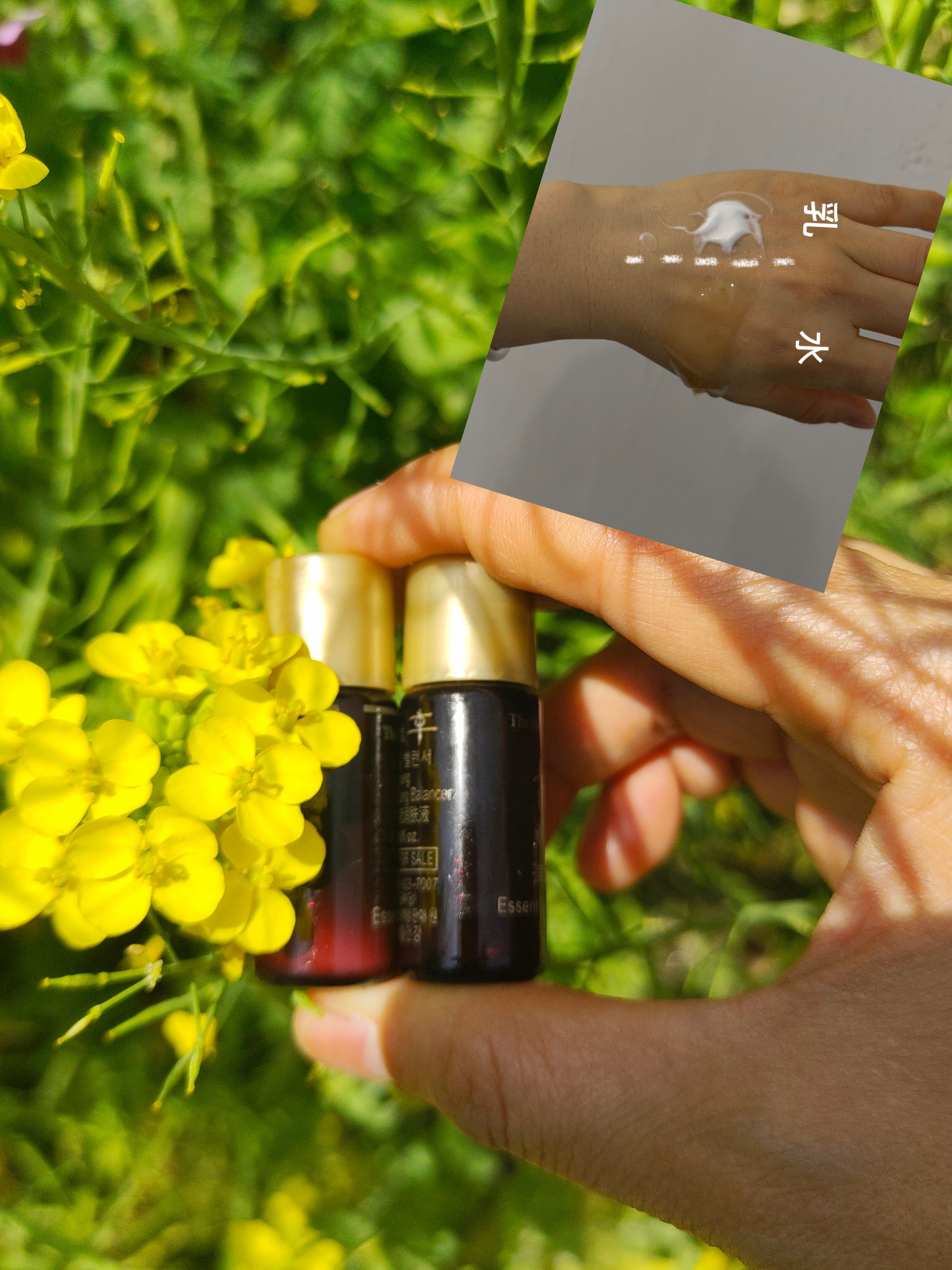 【27年1月效期】津红参参水乳30对 提拉紧致补水 送玻尿酸面膜