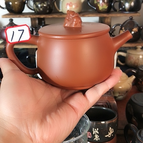 壶17号77777777777777777