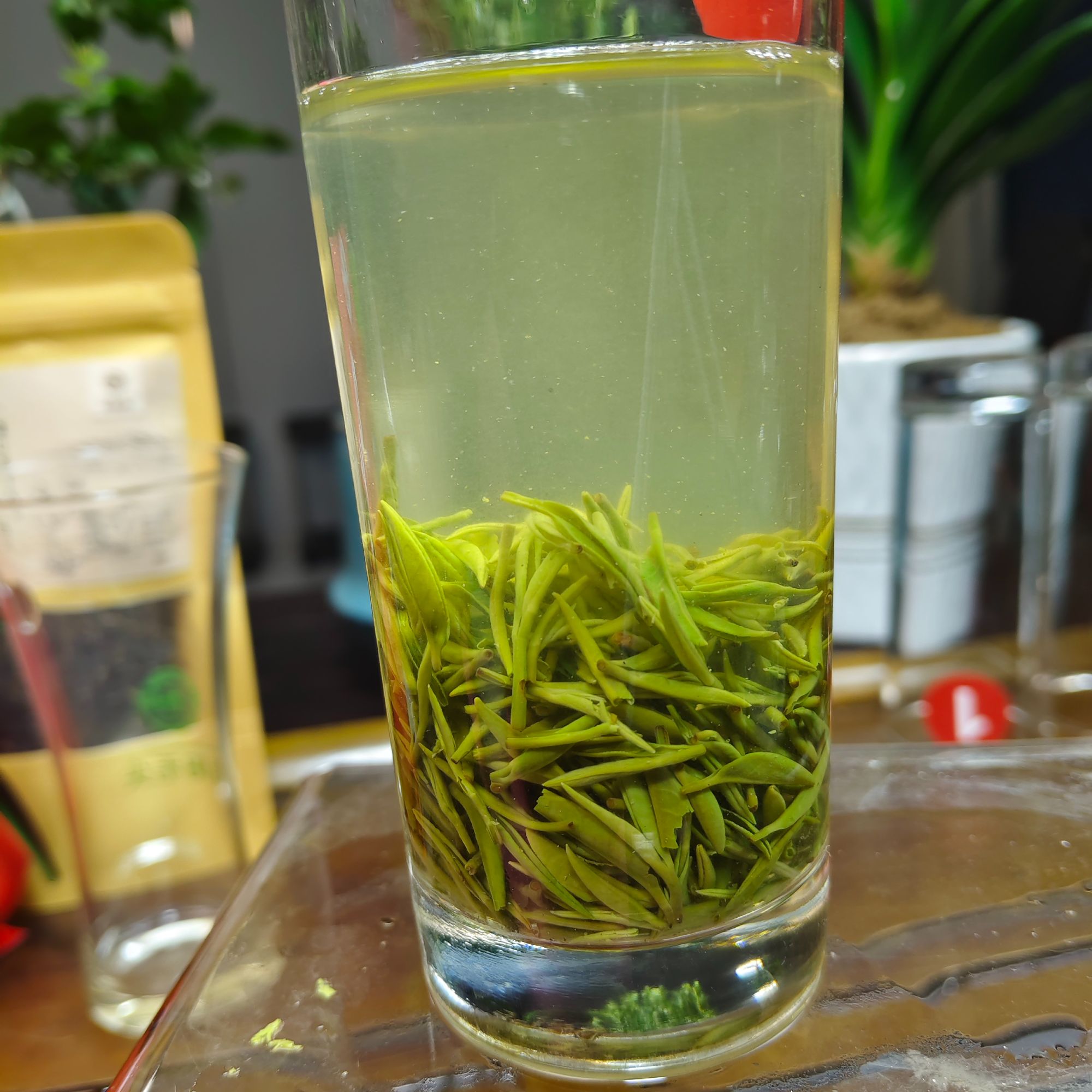 茗香树正宗信阳毛尖明前小芽