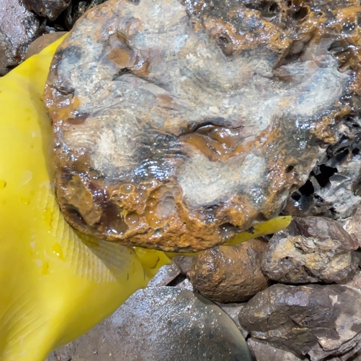 定制玛瑙你***吗私人定制天然玛瑙