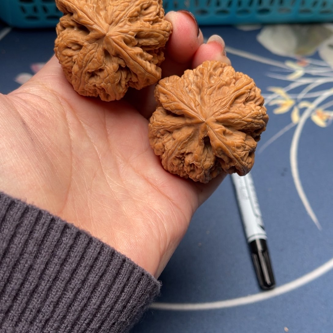 文玩核桃把件粗筋46