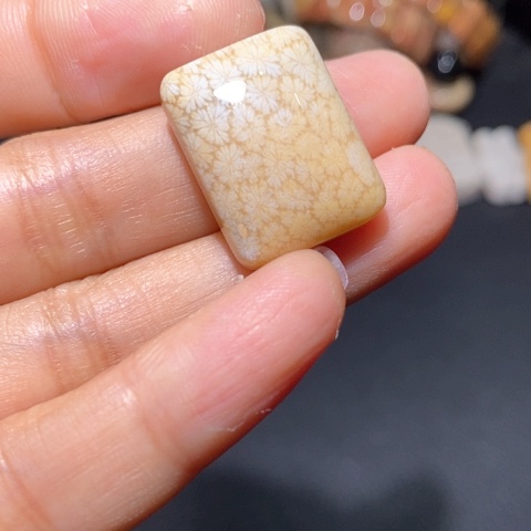 【闪购商品】硅化玉吊坠(不含链)未镶嵌