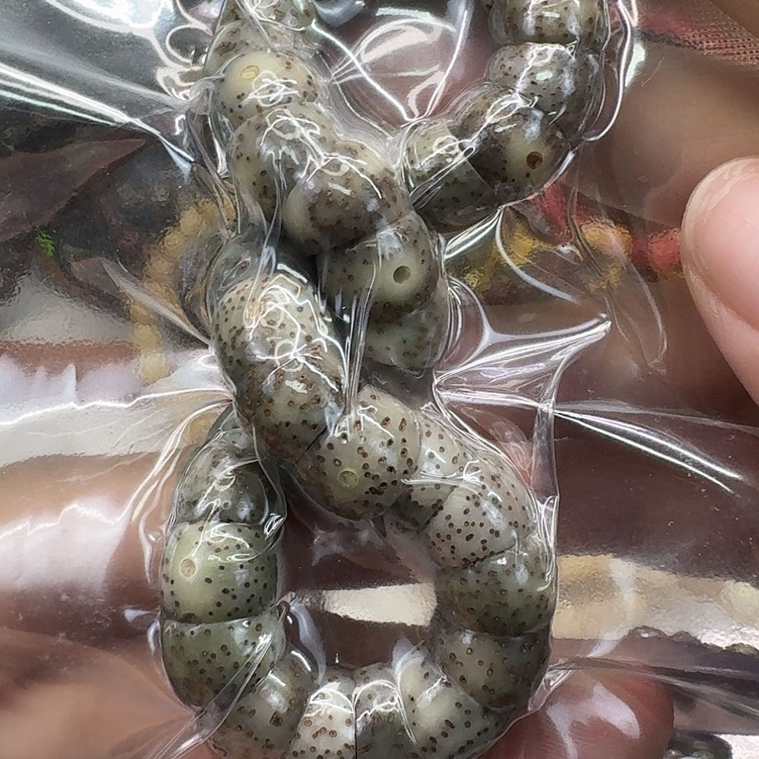 手串星月菩提15荣耀糯冰奶奶灰10大肠