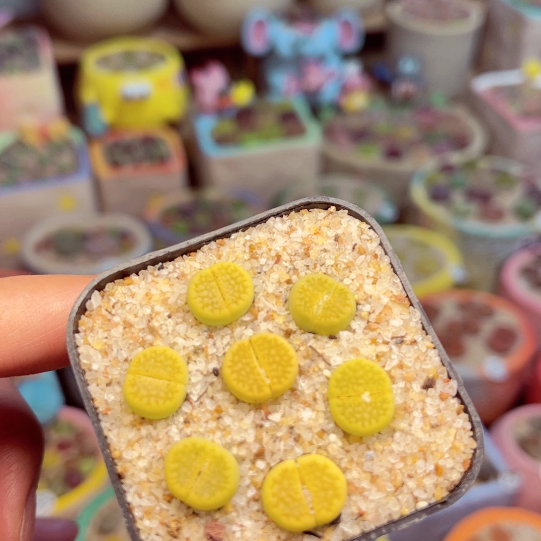 153。888888888885555558888