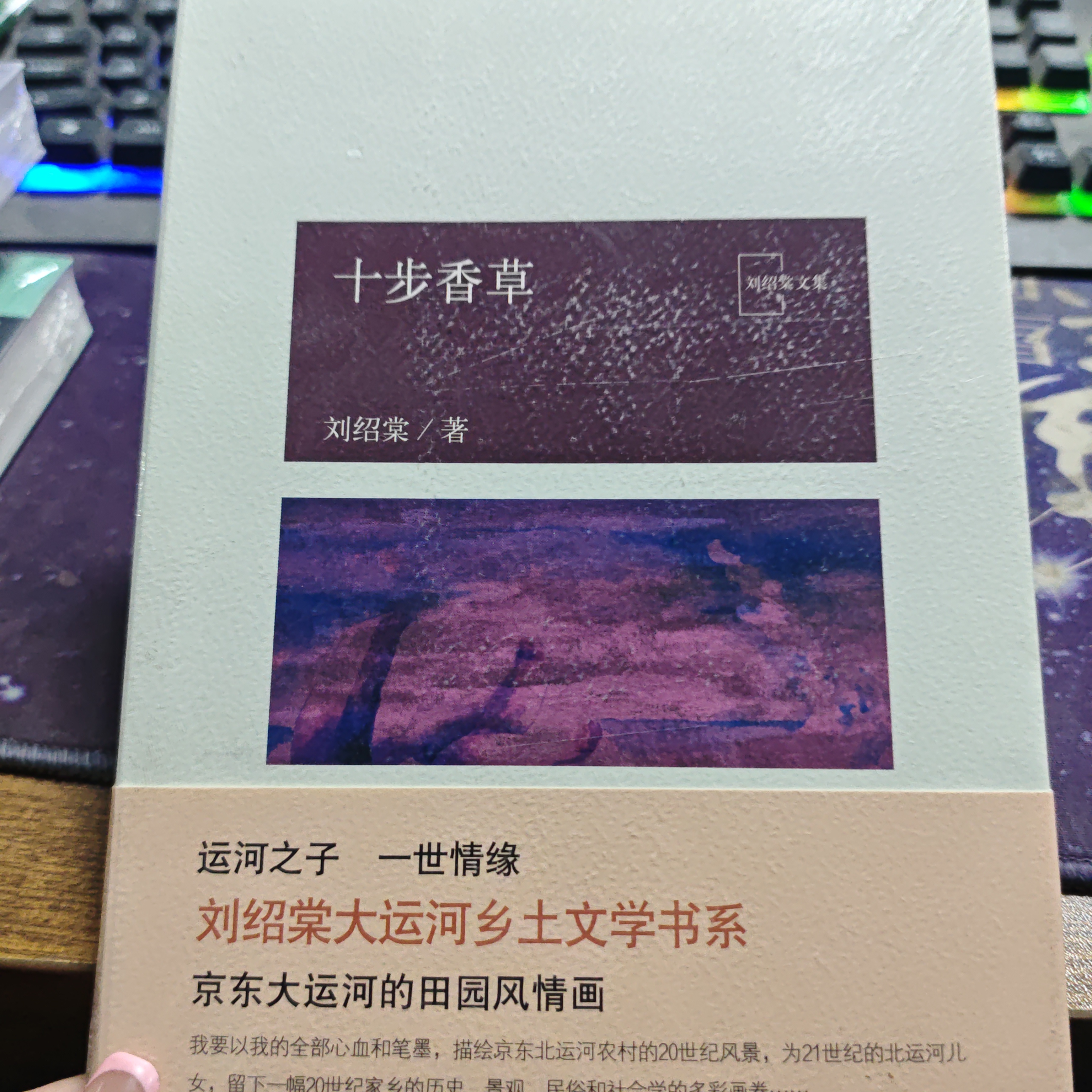 十步香草 平装塑封
