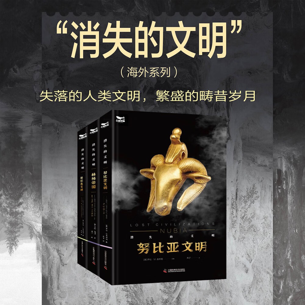消失的文明（海外文明套装3册）：努比亚文明+赫梯帝国+腓尼基文明