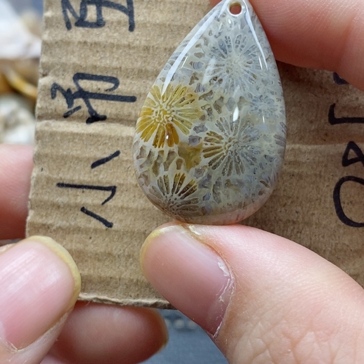 硅化珊瑚（珊瑚玉）颈饰未镶嵌