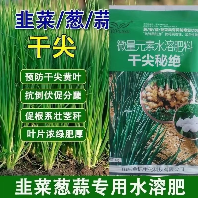 葱姜蒜干尖秘诀干尖秘诀韭菜干尖黄叶卷叶抗病增产叶面肥叶喷农用
